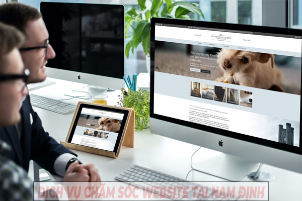 Dịch vụ chăm sóc website chuyên nghiệp tại Nam Định