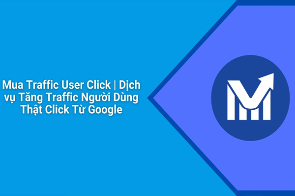 Dịch Vụ Seo Website Dịch Vụ Traffic Uy Tín Chất Lượng Nhất Hiện Nay