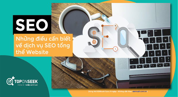 SEO tại Nam Định thường có mức giá hợp lý cho khách hàng