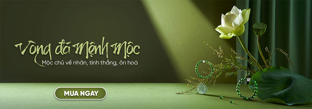 kiến thức website